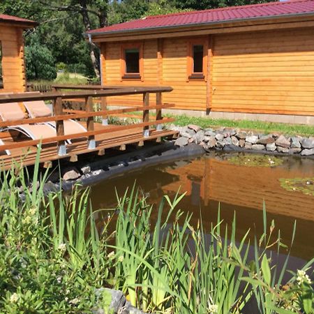 Blockhaus Harzblick Standard Villa Hohegeiß Exterior foto