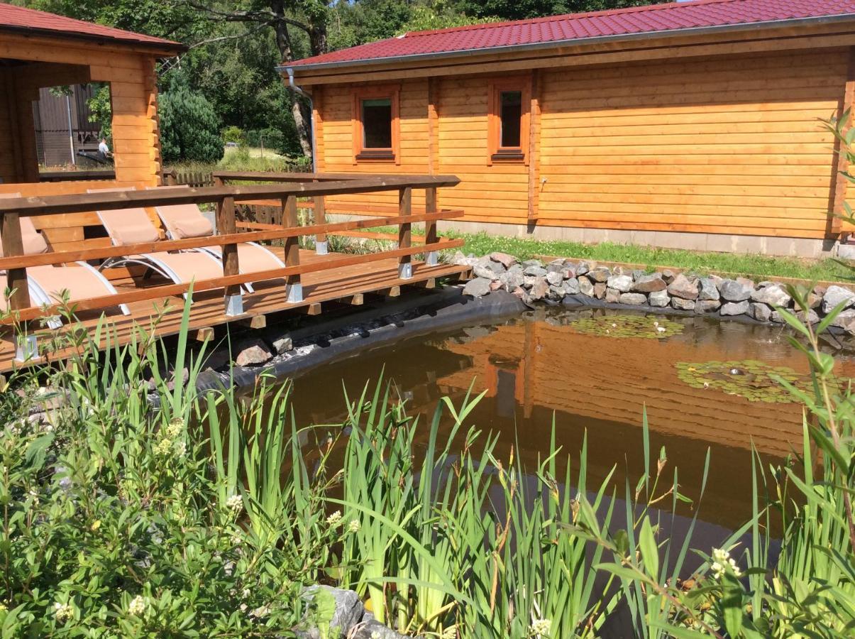 Blockhaus Harzblick Standard Villa Hohegeiß Exterior foto