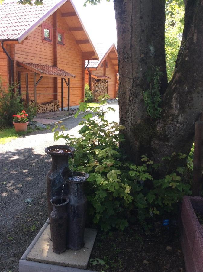 Blockhaus Harzblick Standard Villa Hohegeiß Exterior foto