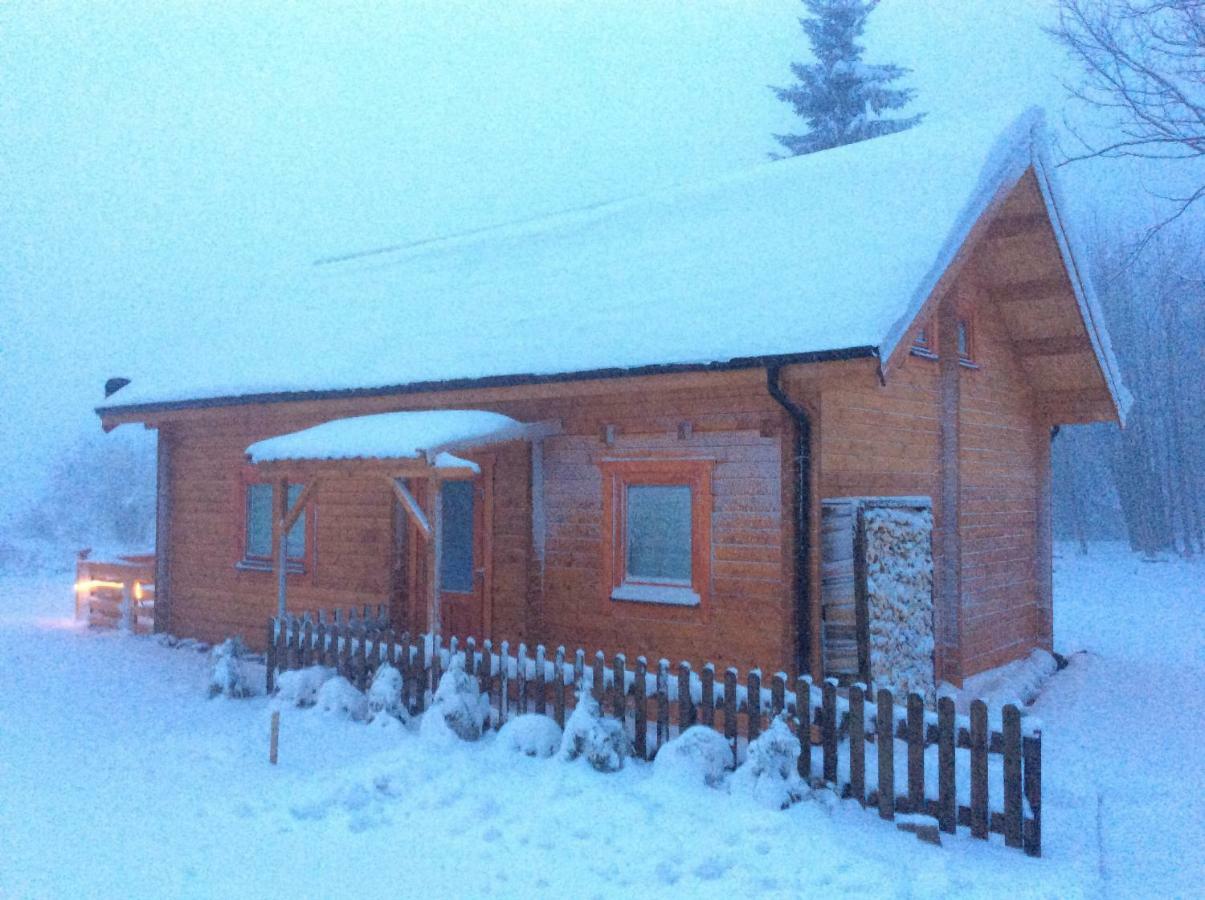 Blockhaus Harzblick Standard Villa Hohegeiß Exterior foto