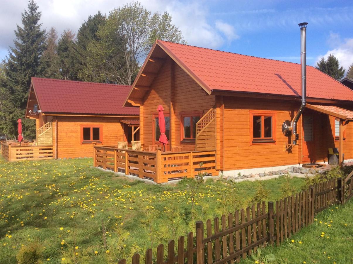 Blockhaus Harzblick Standard Villa Hohegeiß Exterior foto